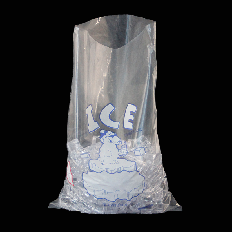ICE BAG Large - CTA THERACARE LTD