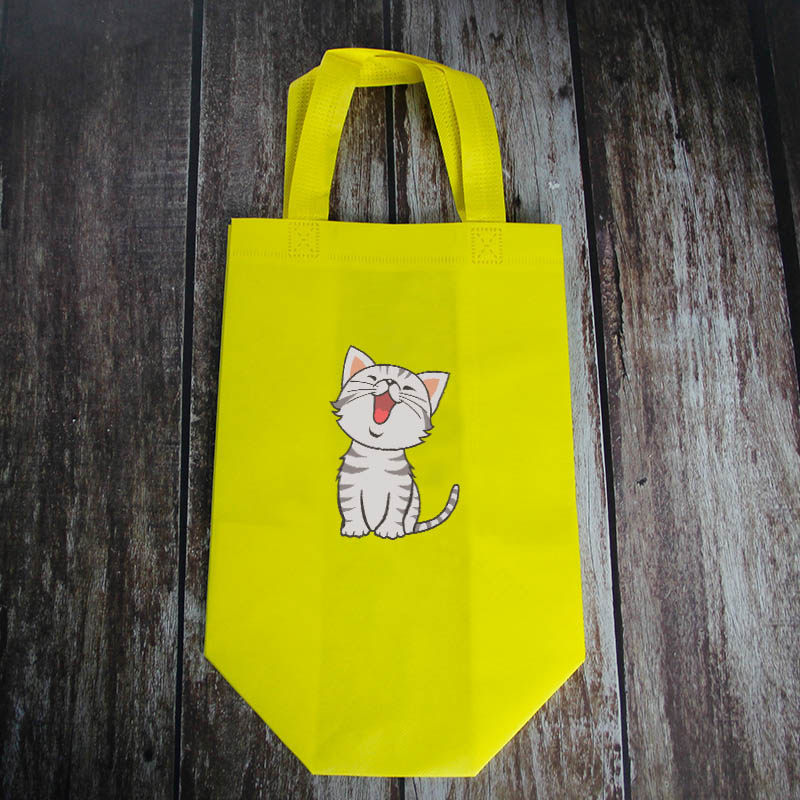 laminated non woven bag