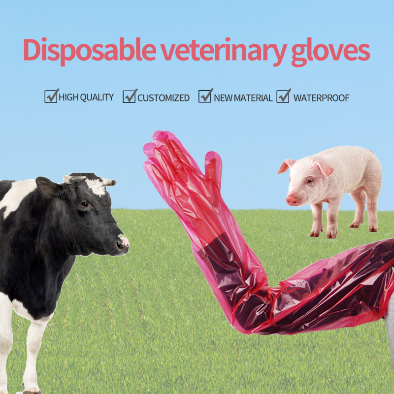 long veterinary gloves disposable