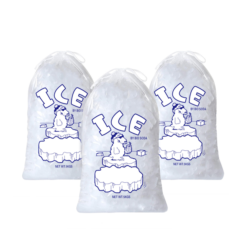 plastic ice storage bags