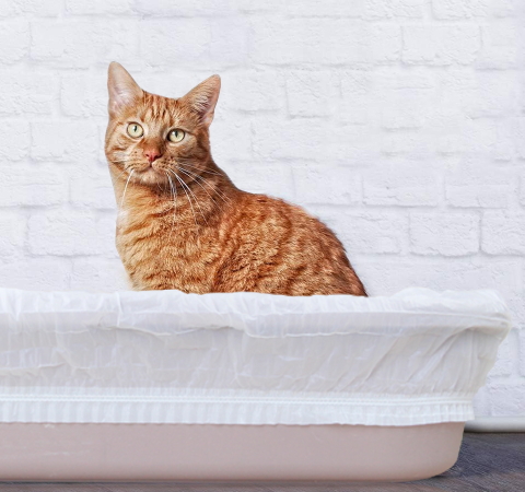 Cat Litter Liner